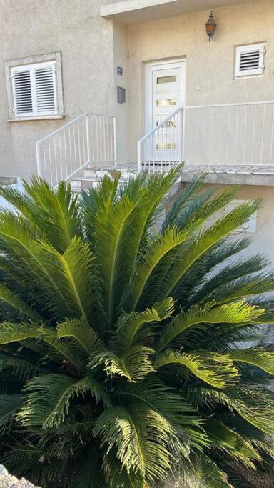 Apartment Biggy ツァヴタット エクステリア 写真