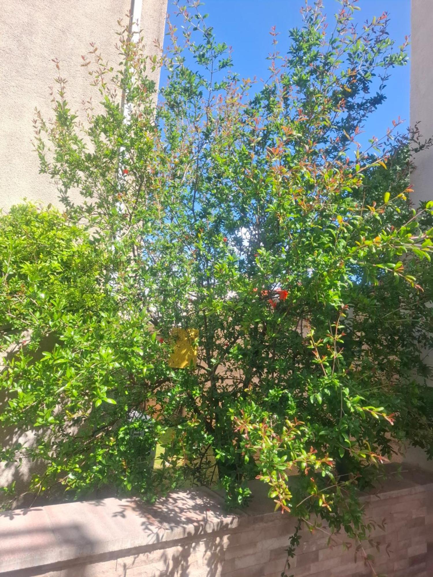 Apartment Biggy ツァヴタット エクステリア 写真